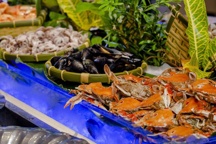 發現西餐廳｜用餐優惠