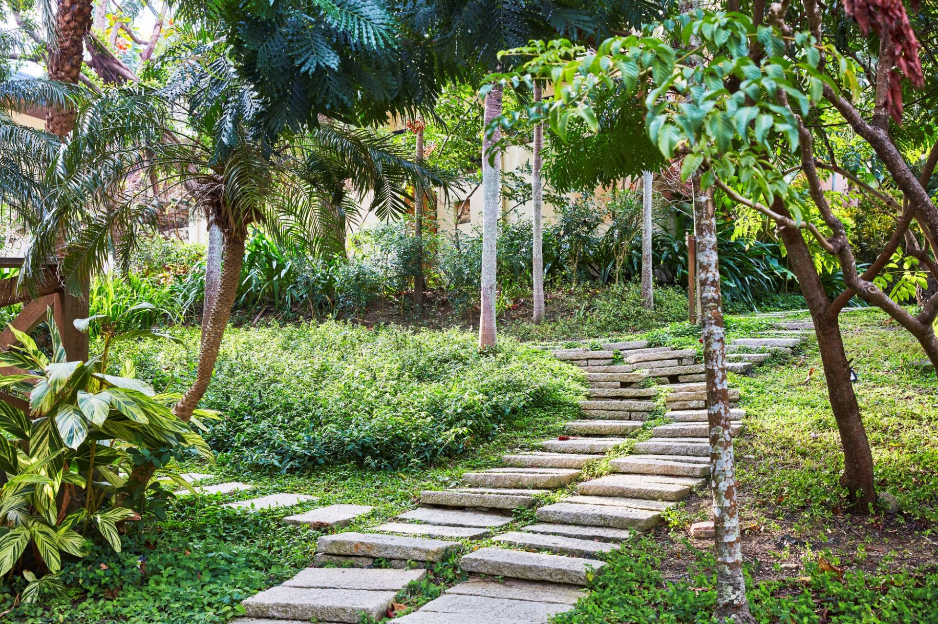 墾丁凱撒毛孩放風空間