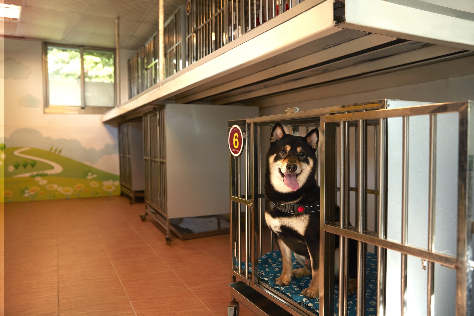 墾丁凱撒寵物小築