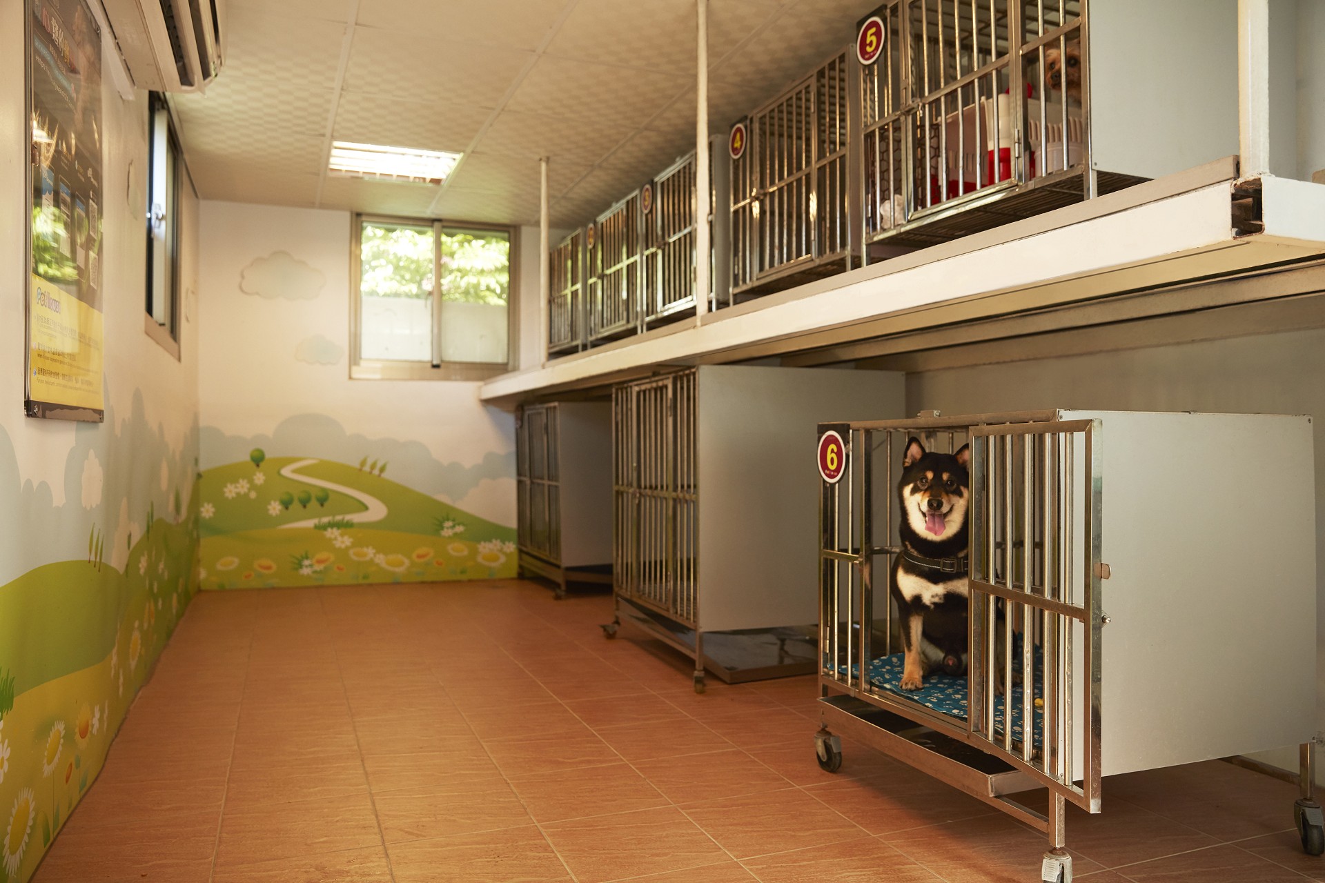 墾丁凱撒寵物小築