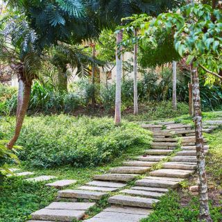 墾丁凱撒毛孩放風空間