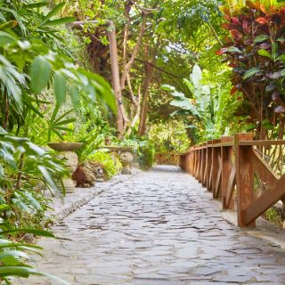 墾丁凱撒毛孩放風空間