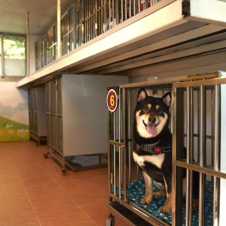 墾丁凱撒寵物小築