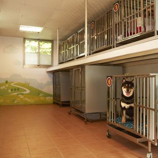 墾丁凱撒寵物小築